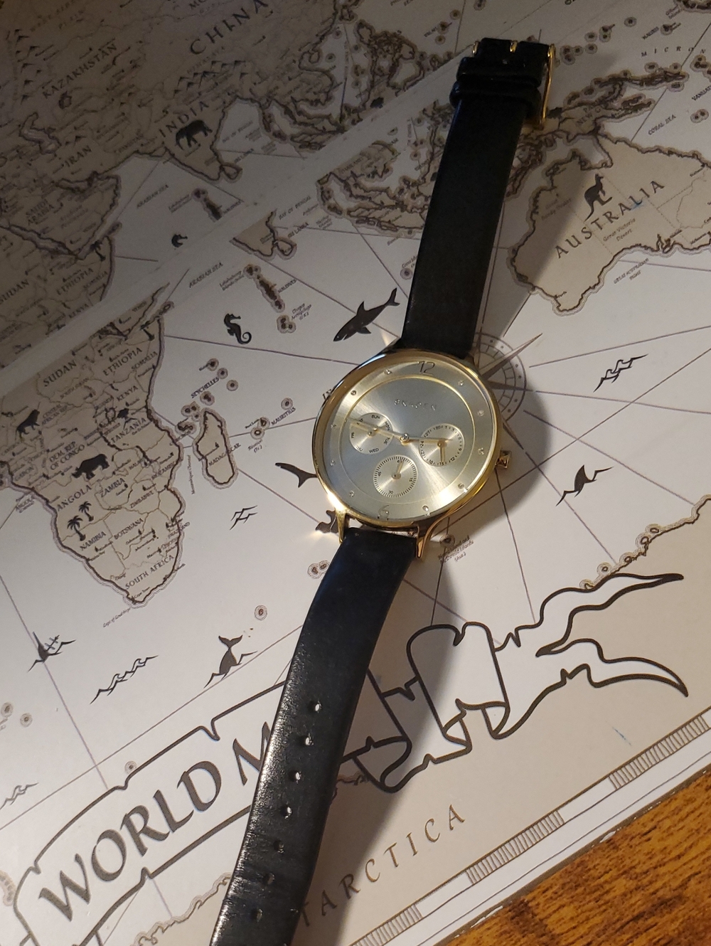 Skagen Denmark Gold Case Silver Dial Black Leather Strap Watch
